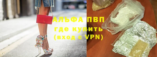 прущий лед Бородино
