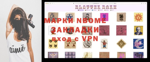 прущий лед Бородино