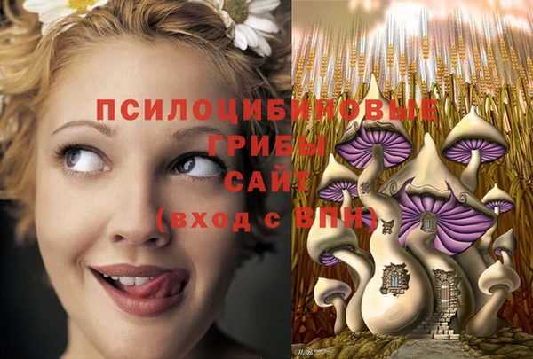 дурь Бугульма