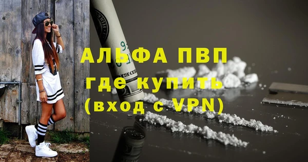 прущий лед Бородино