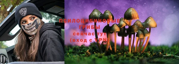 прущий лед Бородино