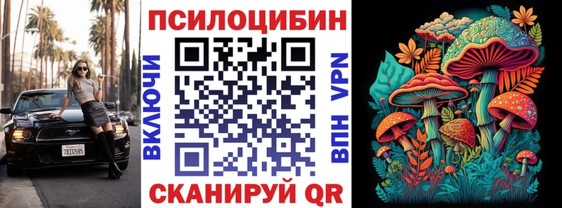 Купить где  Новомосковск  Галлюциногенные грибы Cubensis 